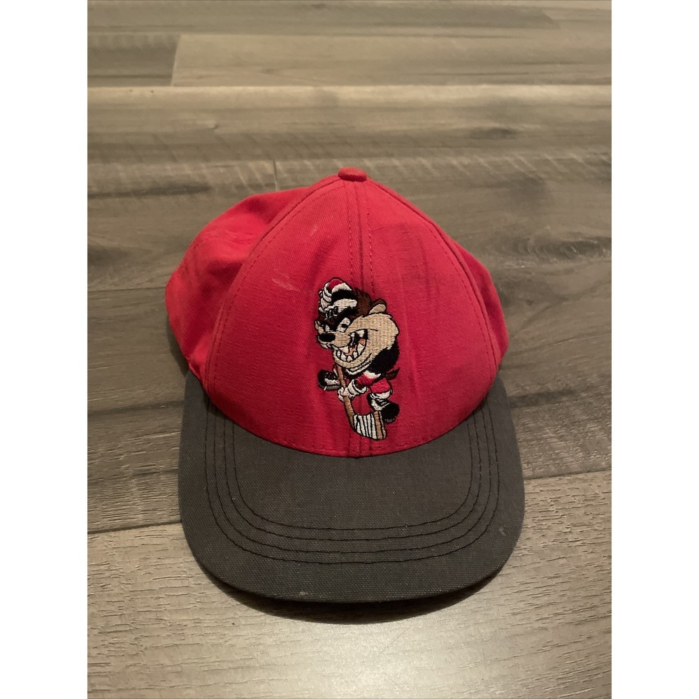 Vintage 1996 Warner‎ Bros Studios Looney Tunes Tazmanian Devil Snapback Hat USA